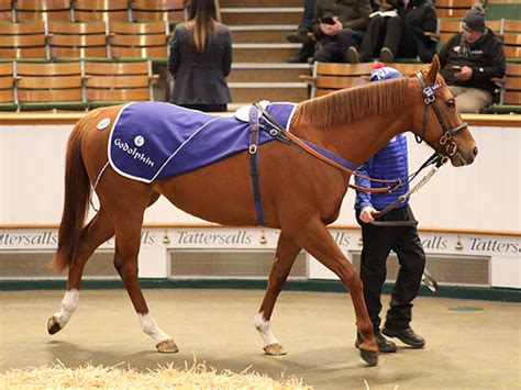 tatts results racing|Horse Racing Results .